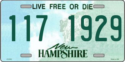 NH license plate 1171929