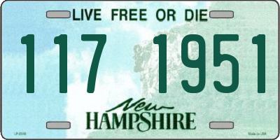 NH license plate 1171951