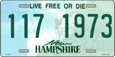 NH license plate 1171973
