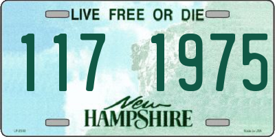 NH license plate 1171975