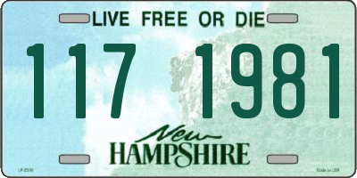 NH license plate 1171981