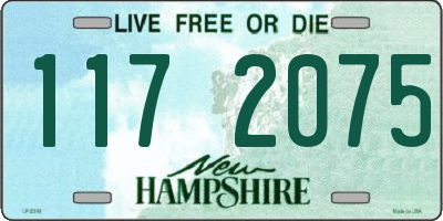 NH license plate 1172075