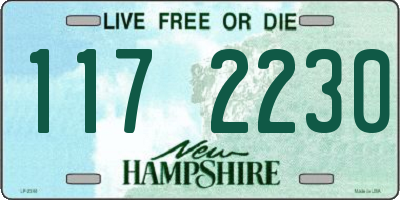 NH license plate 1172230