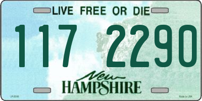 NH license plate 1172290