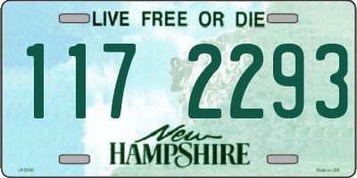 NH license plate 1172293