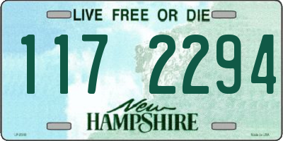 NH license plate 1172294