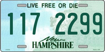 NH license plate 1172299