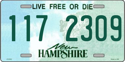 NH license plate 1172309