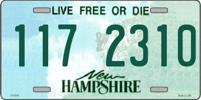 NH license plate 1172310