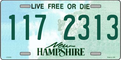 NH license plate 1172313