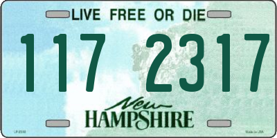 NH license plate 1172317