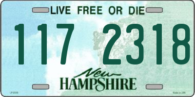 NH license plate 1172318