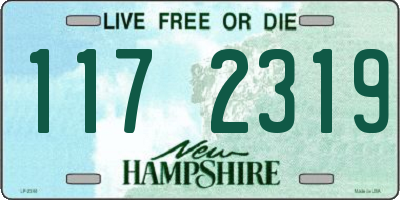 NH license plate 1172319