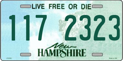 NH license plate 1172323