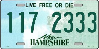 NH license plate 1172333