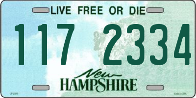NH license plate 1172334