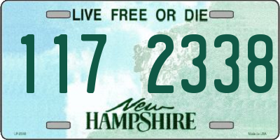 NH license plate 1172338