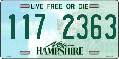 NH license plate 1172363