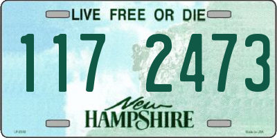 NH license plate 1172473
