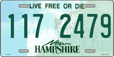NH license plate 1172479