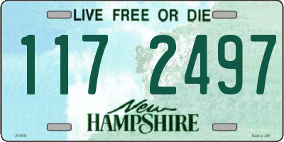 NH license plate 1172497