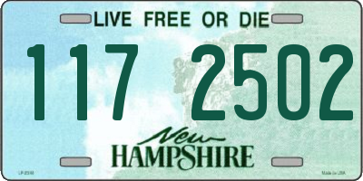 NH license plate 1172502