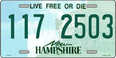 NH license plate 1172503