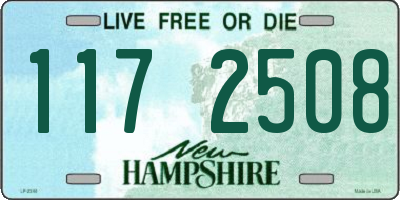 NH license plate 1172508