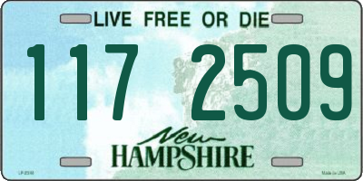 NH license plate 1172509