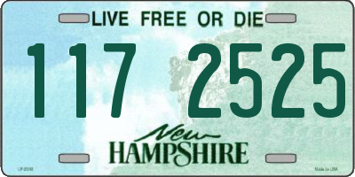 NH license plate 1172525