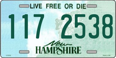 NH license plate 1172538