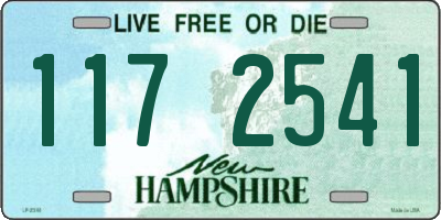 NH license plate 1172541