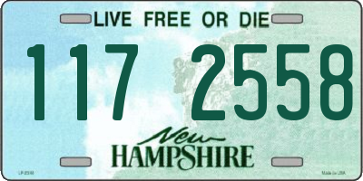 NH license plate 1172558