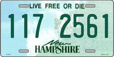 NH license plate 1172561