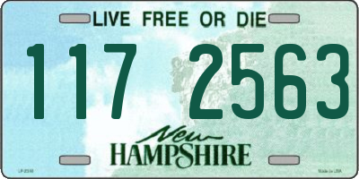 NH license plate 1172563