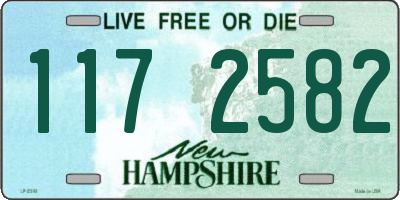 NH license plate 1172582