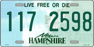 NH license plate 1172598