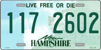 NH license plate 1172602