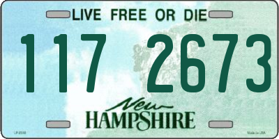NH license plate 1172673