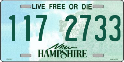 NH license plate 1172733