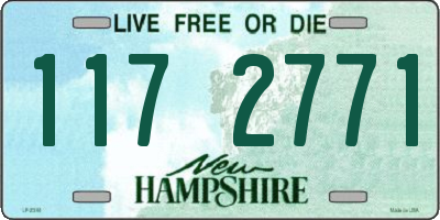 NH license plate 1172771