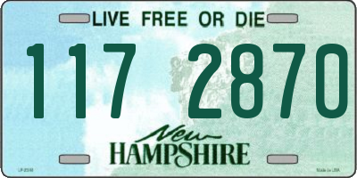 NH license plate 1172870
