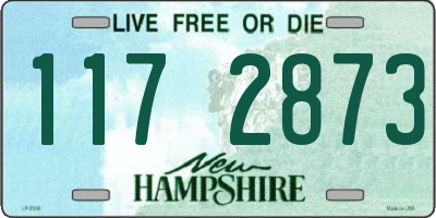 NH license plate 1172873