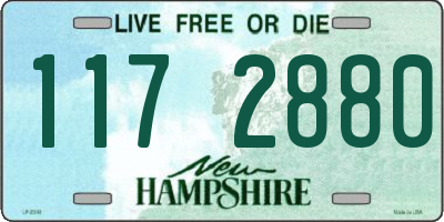 NH license plate 1172880