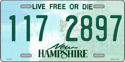 NH license plate 1172897