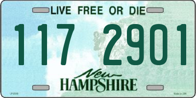 NH license plate 1172901