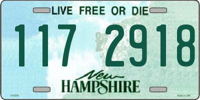 NH license plate 1172918