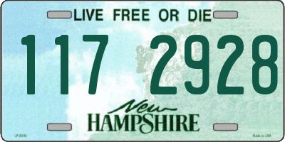 NH license plate 1172928