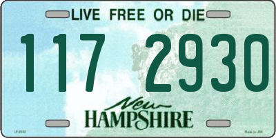 NH license plate 1172930