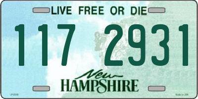 NH license plate 1172931